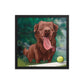 FUN and AFFORDABLE Pet Portrait by John LaFree