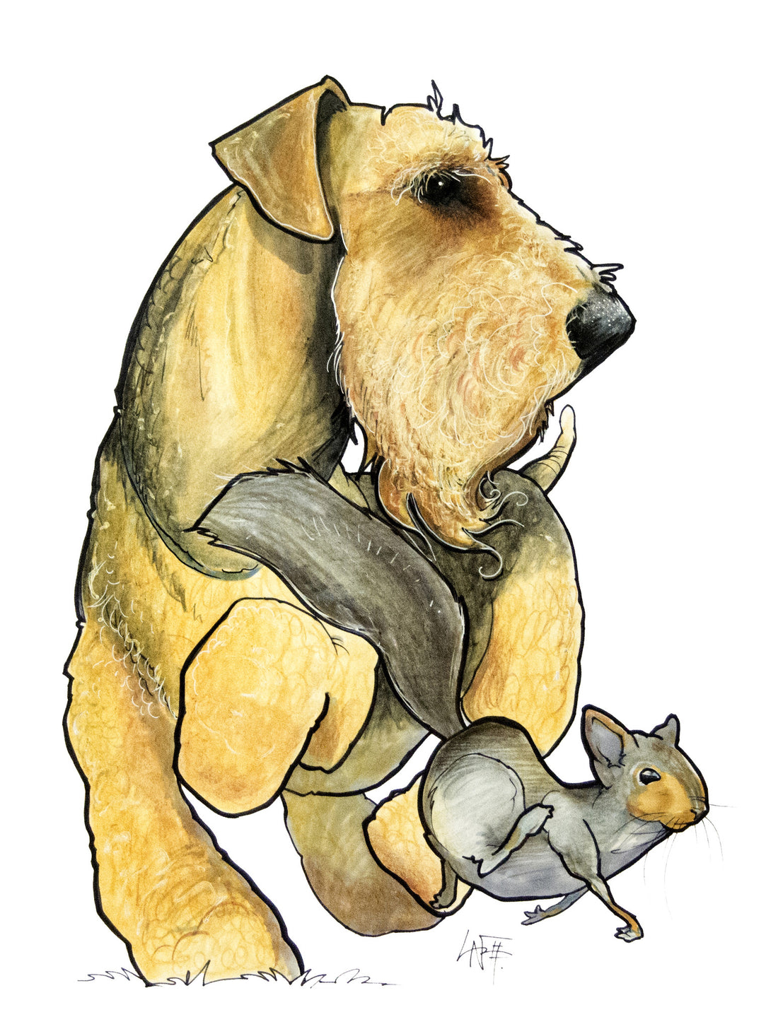 Breed Spotlight: The Airedale Terrier