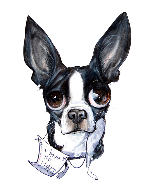 Pet Portrait Spotlight: Boston Terriers